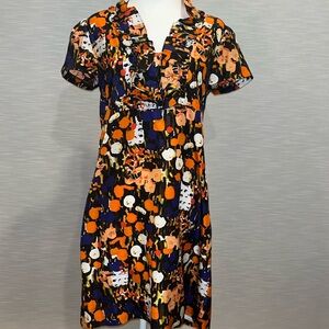 J Crew Colorful Shift dress (6)